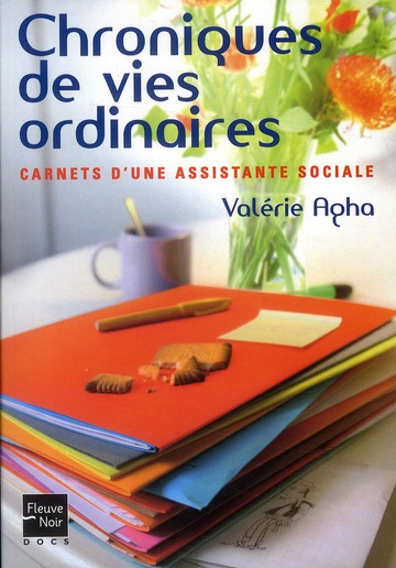 Chroniques de vies ordinaires. Carnets d'une assistante sociale