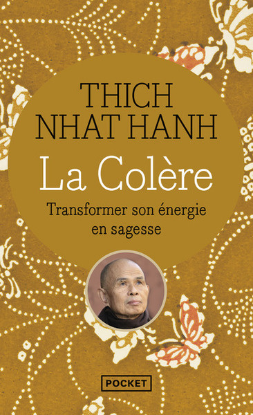 La colère. Transformer son énergie en sagesse