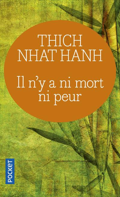 Il n'y a ni mort ni peur. Une sagesse réconfortante pour la vie