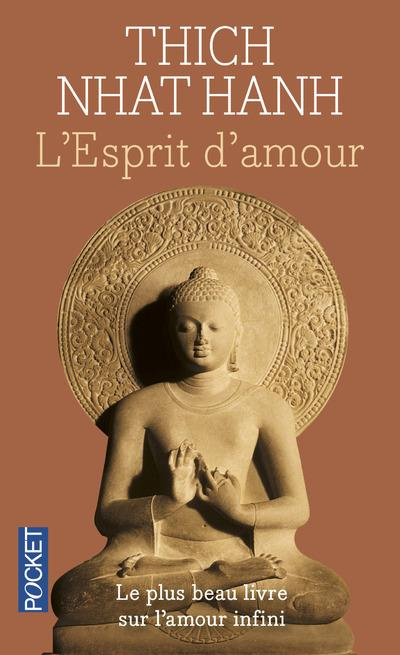 L'esprit d'amour. La pratique du regard profond dans la tradition bouddhiste mahayana