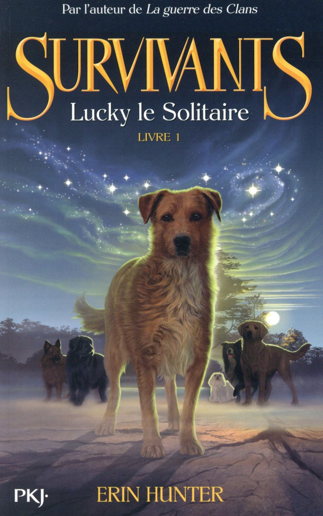 Survivants Tome 1 : Lucky le solitaire