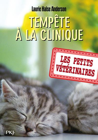Les Petits Vétérinaires Tome 20 : Tempête à la clinique