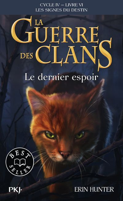 La guerre des clans : les signes du destin (Cycle IV) Tome 6 : Le dernier espoir