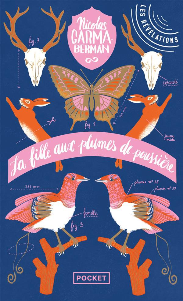 La fille aux plumes de poussière