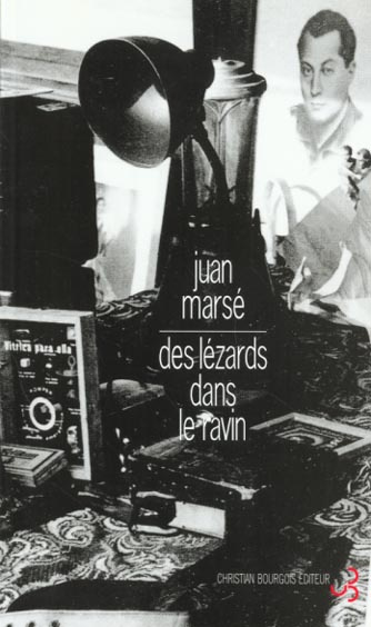 Des lézards dans le ravin