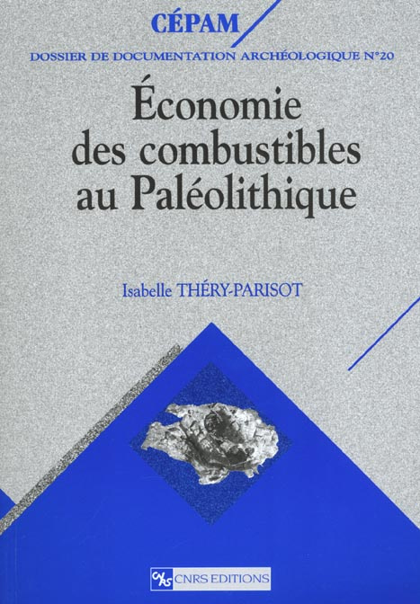 Economie des combustibles au Paléolithique