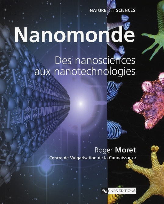 Nanomonde. Des nanosciences aux nanotechnologies