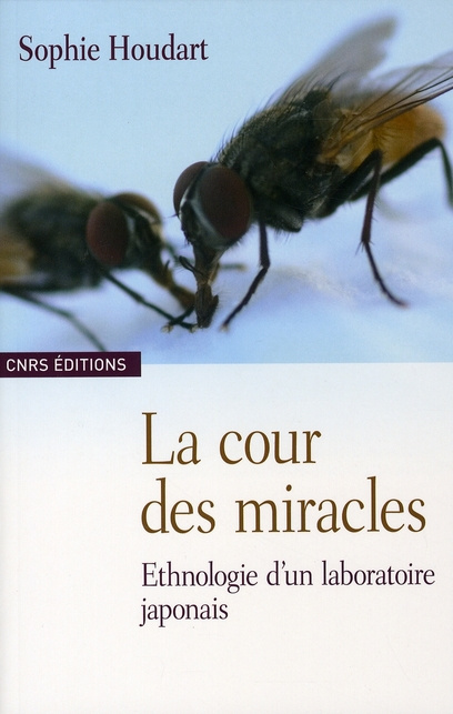 La cour des miracles. Ethnologie d'un laboratoire japonais