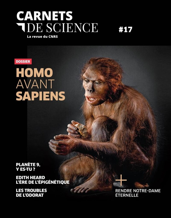 Carnets de science. La revue du CNRS N° 17