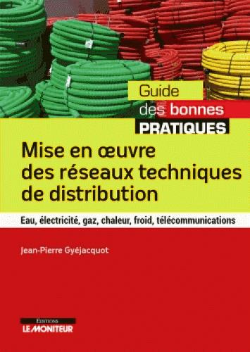 Mise en oeuvre des réseaux techniques de distribution. Eau, électricité, gaz, chaleur, froid, téléco