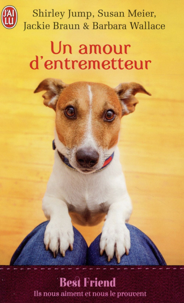 Un amour d'entremetteur