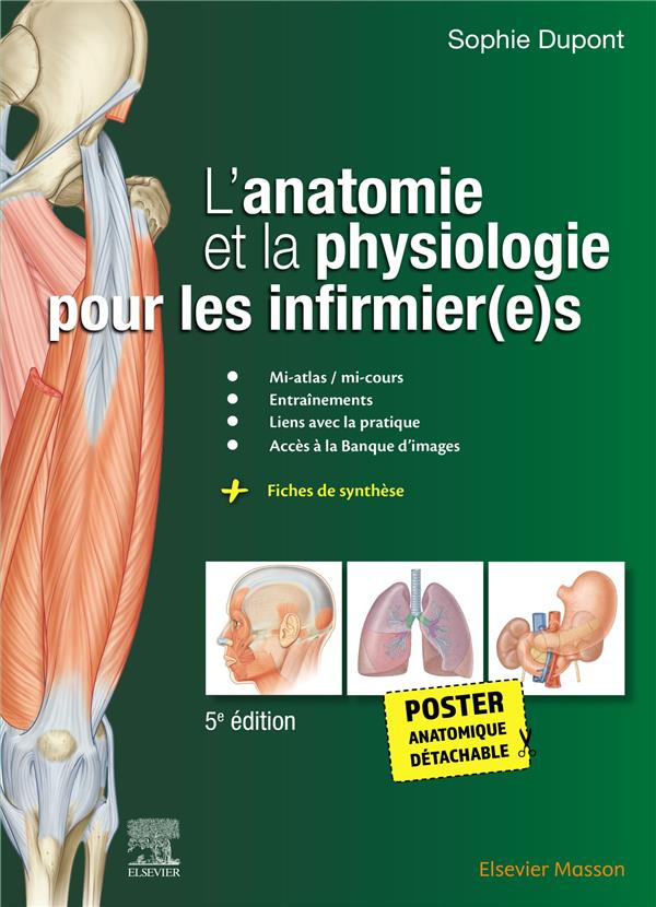 L'anatomie et la physiologie pour les infirmier(e)s. Avec 1 poster anatomique détachable, 5e édition