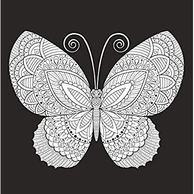 Merveilleux papillons à colorier et à encadrer !