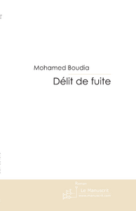 Delit de fuite