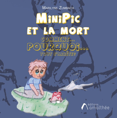 MiniPic et la mort ! Comment, pourquoi, tout s'arrête ?