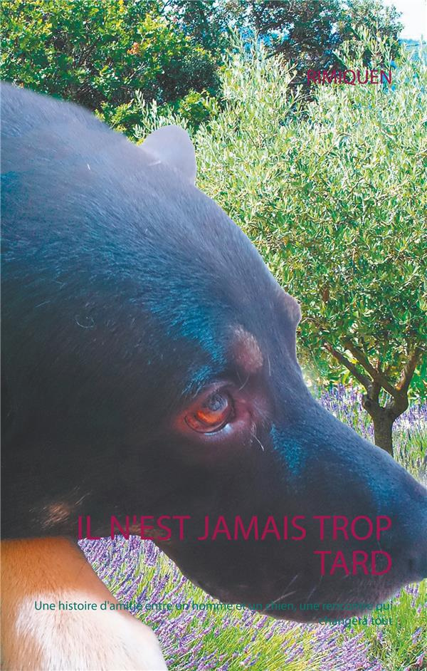 Il n'est jamais trop tard. Une histoire d'amitié entre un homme et un chien, une rencontre qui chang