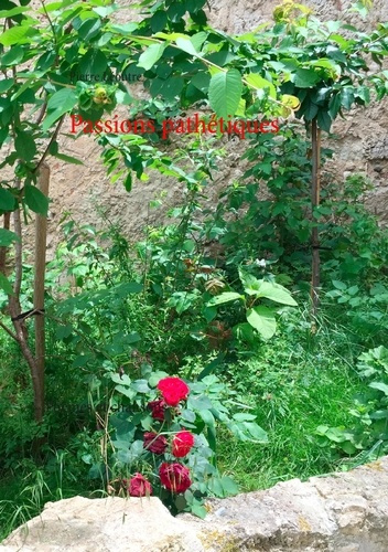 Passions pathétiques. Poèmes et chansons