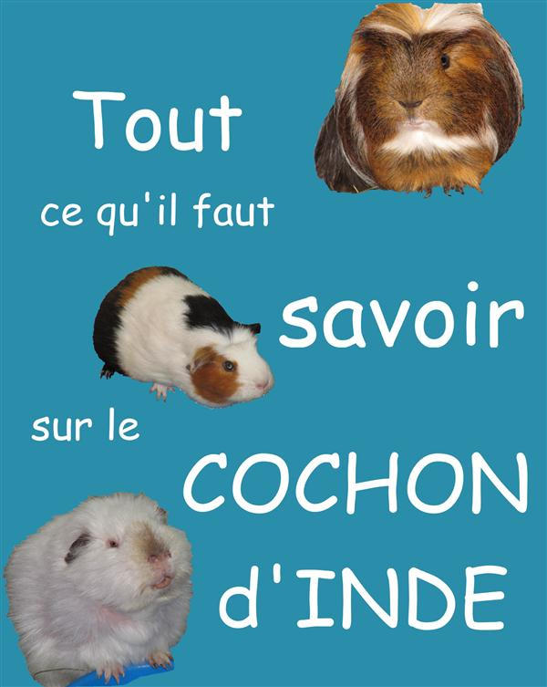 TOUT CE QU'IL FAUT SAVOIR SUR LE COCHON D'INDE - NOUVELLE EDITION