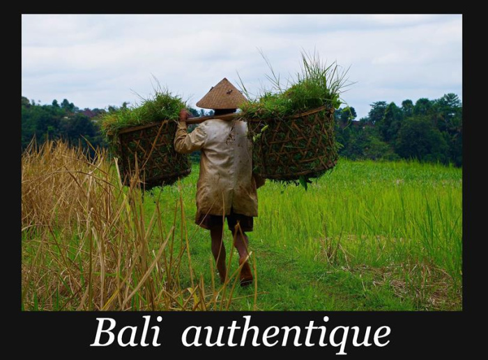 BALI AUTHENTIQUE