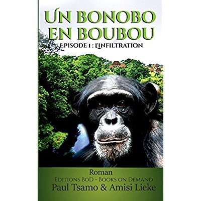Un bonobo en boubou. L'infiltration