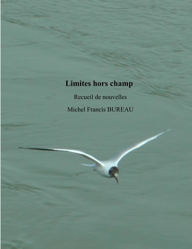 Limites hors champ. Recueil de nouvelles