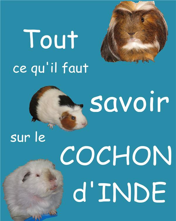 TOUT CE QU'IL FAUT SAVOIR SUR LE COCHON D'INDE (NOUVELLE EDITION)
