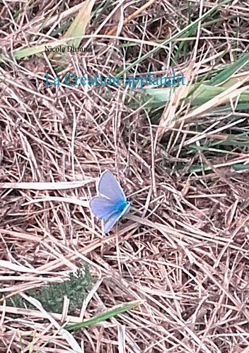 La création applaudit