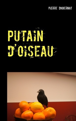 Putain d'oiseau : La naissance d'un commissaire