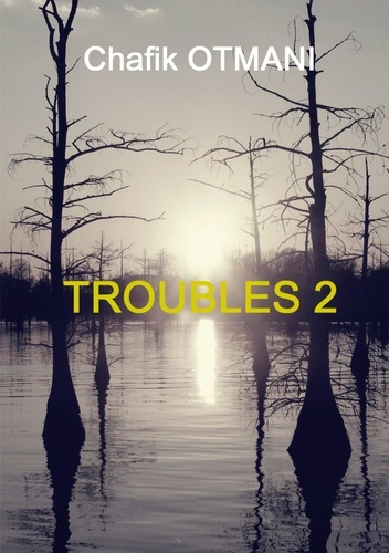 TROUBLES 2 - T02 - TROUBLES VOL. 2 - REVE EN PEINTURE - DERNIER ROUND - LA NUIT DU CAVALIER - RENDEZ