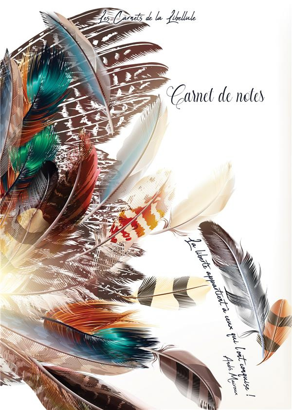 Carnet de Notes. Plumes