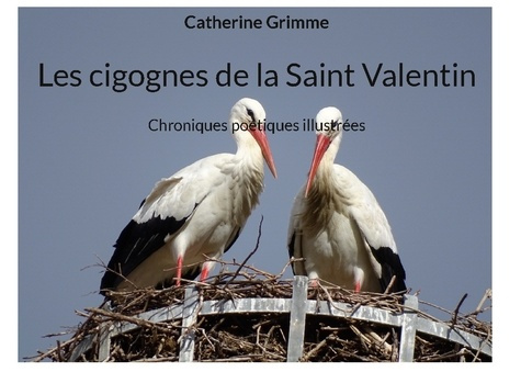 Les cigognes de la Saint Valentin. Chroniques poétiques illustrées
