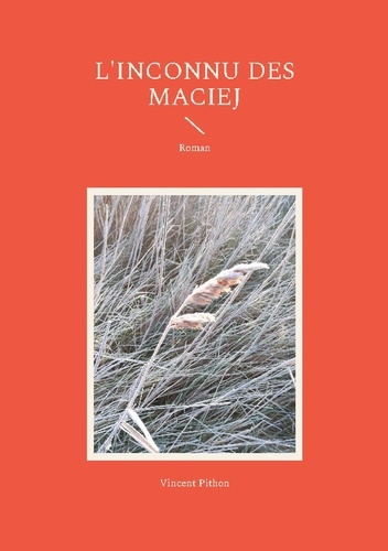 L'inconnu des Maciej. Roman