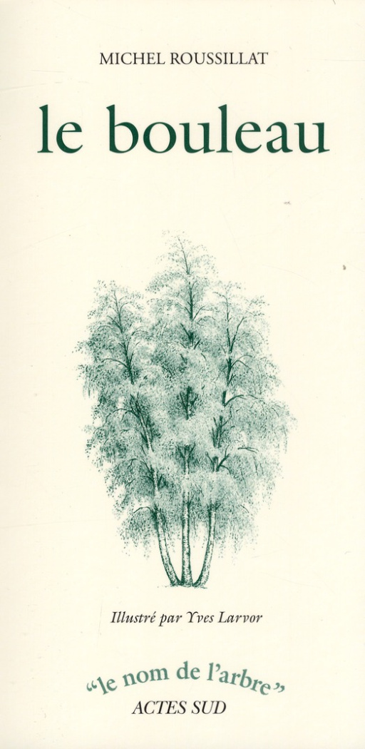 Le bouleau