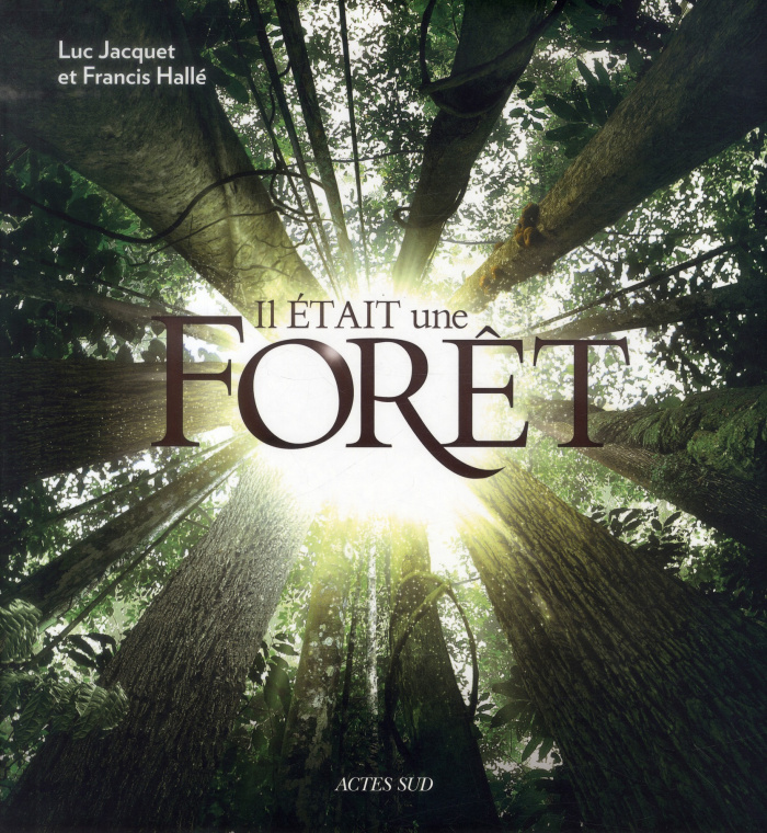 Il était une forêt