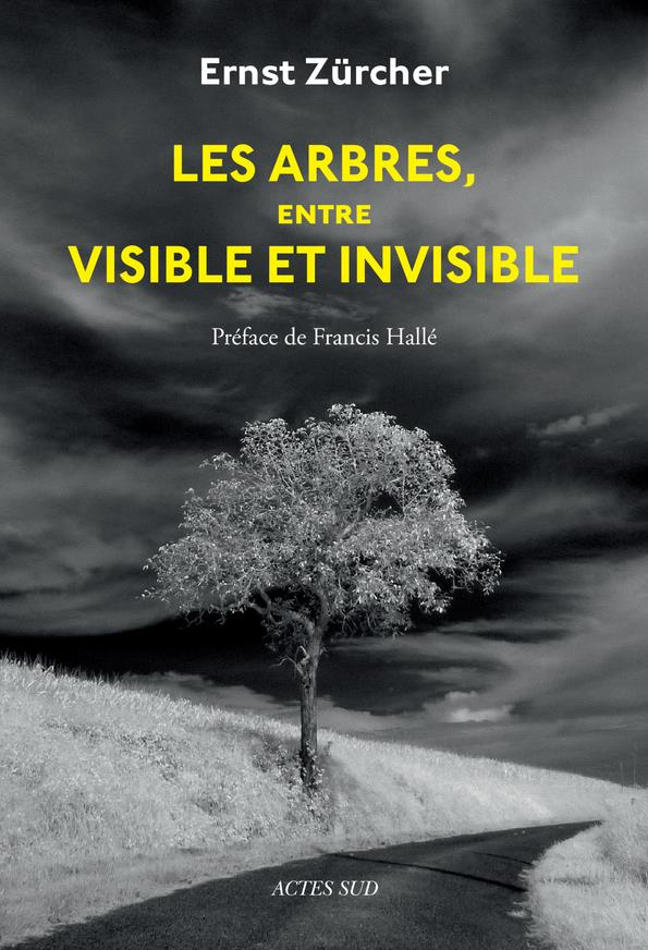 Les arbres, entre visible et invisible. S'étonner, comprendre, agir