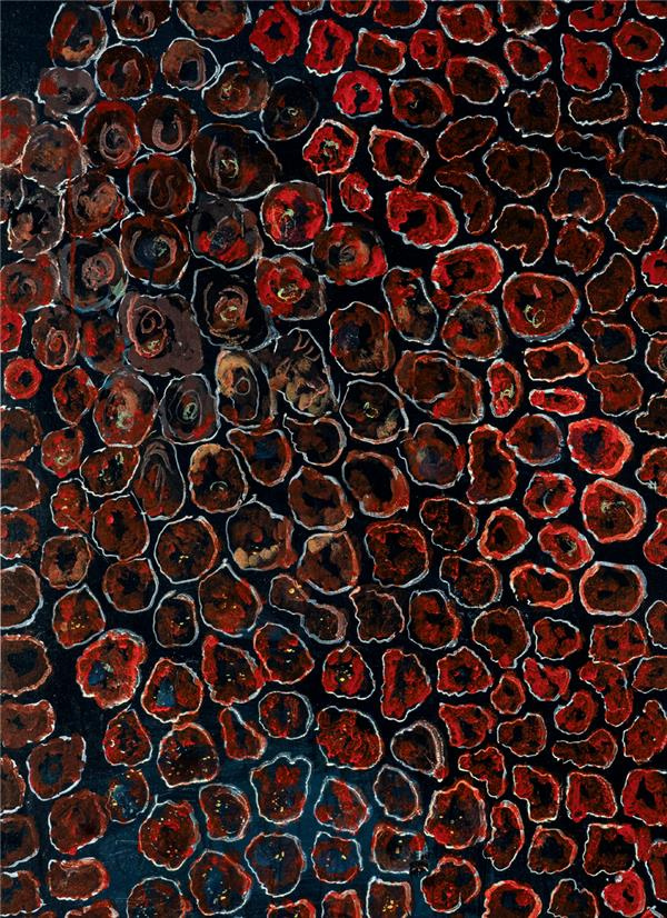 René Moreu. L'oeil nu