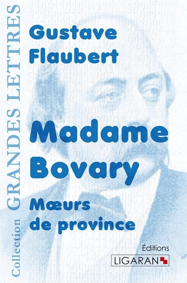 Madame Bovary. Moeurs de province