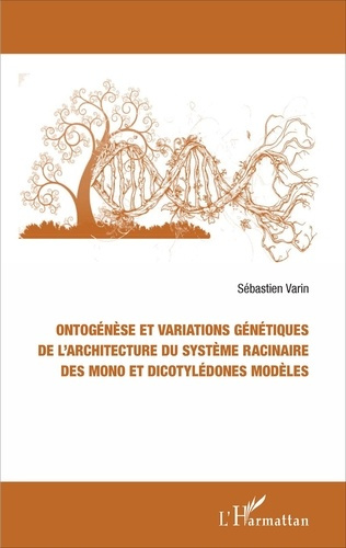 Ontogénèse et variations génétiques de l'architecture du système racinaire des mono et dicotylédones