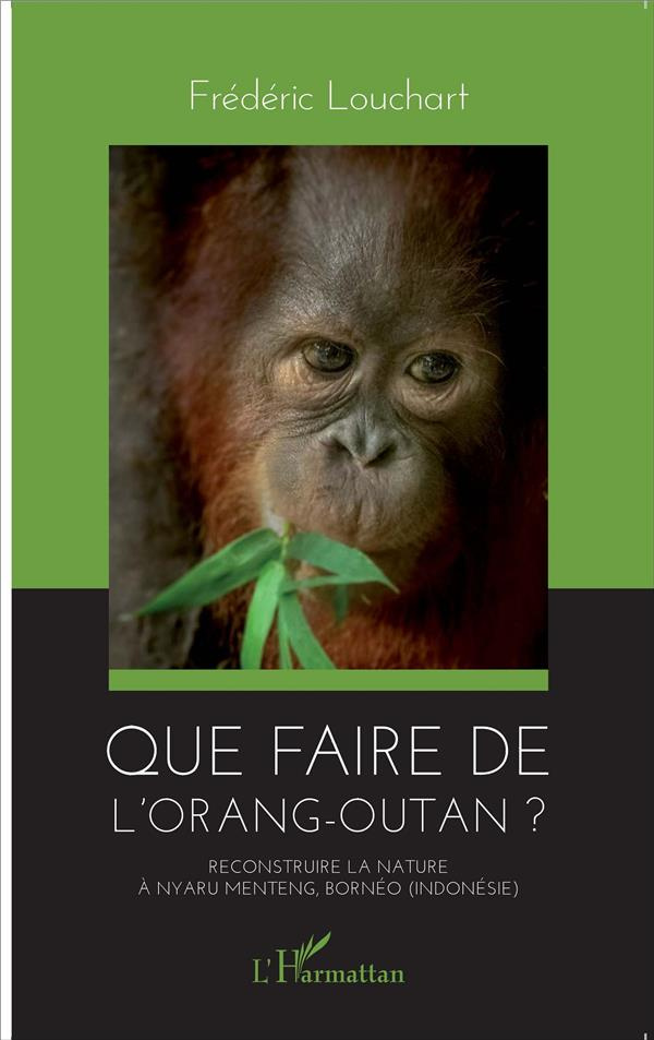 Que faire de l'orang-outan ? Reconstruire la nature à Nyaru Menteng, Bornéo (Indonésie)