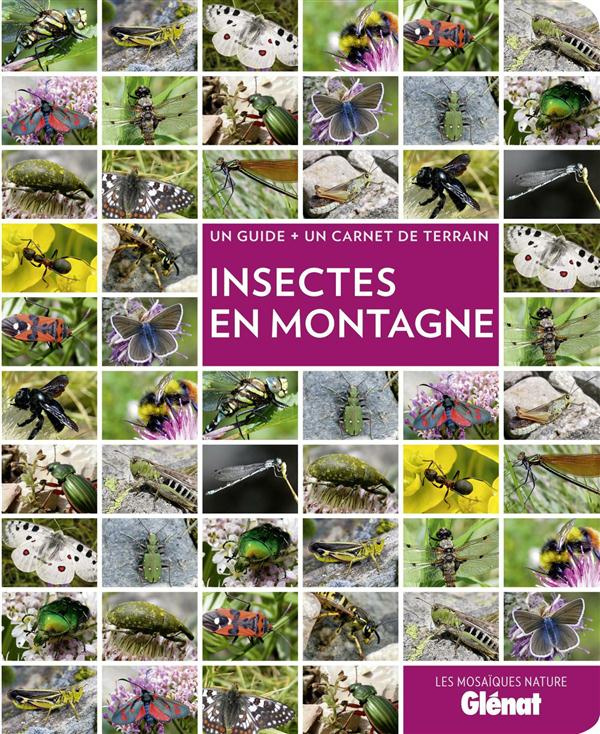 Insectes en montagne. Un guide   un carnet de terrain