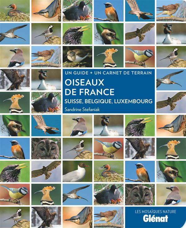 Oiseaux de France, Suisse, Belgique, Luxembourg. Un guide un carnet de terrain