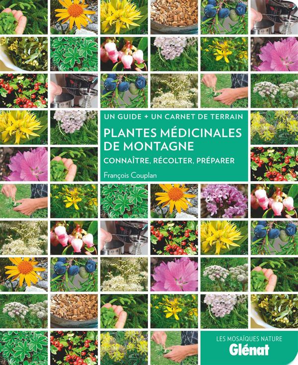 Plantes médicinales de montagne. Reconnaître, récolter, préparer