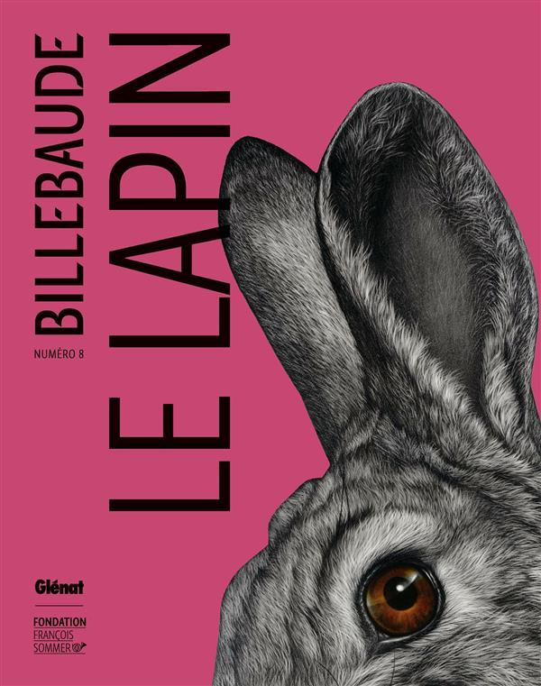 Billebaude N° 8 : Le lapin
