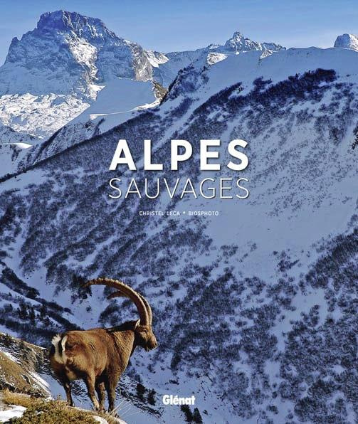 Alpes sauvages