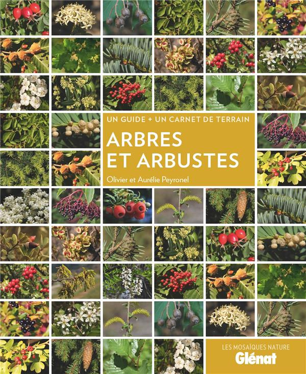 Arbres et arbustes. Un guide un carnet de terrain