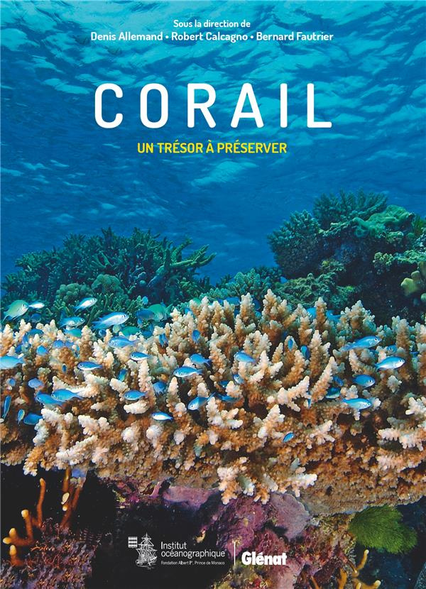Corail. Un trésor à préserver