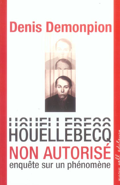 Houellebecq non autorisé. Enquête sur un phénomène