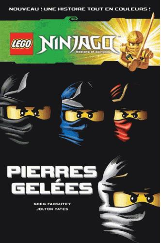 Lego Ninjago Masters of Spinjitzu Tome 5 : Pierres gelées