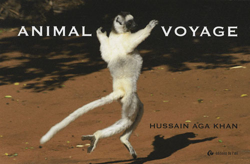 ANIMAL VOYAGE