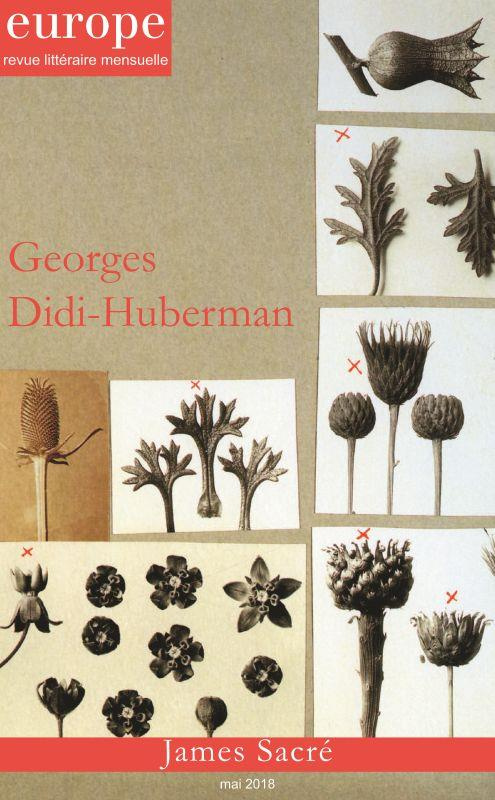 GEORGES DIDI HUBERMAN N 1069 MAI 2018